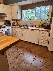 Professional/reliable house cleaner (s) for hire $30/hour. - Photo 6