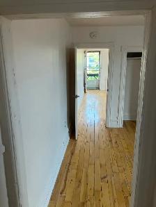 1 Bedroom Sandy Hill Apartment for Rent (508 Besserer St) - Photo 4