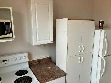 1 Bedroom Sandy Hill Apartment for Rent (508 Besserer St) - Photo 10