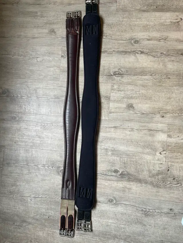 Horse tack for sale