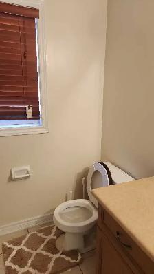 A Room in Brampton - Photo 6