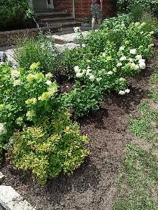 Affordable moving/gardening/labour! 647-571-9326 - Photo 2