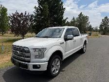 2016 Ford F150 Platinum 4x4 Eco-Boost - Photo 2