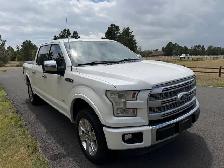 2016 Ford F150 Platinum 4x4 Eco-Boost - Photo 3