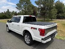 2016 Ford F150 Platinum 4x4 Eco-Boost - Photo 5