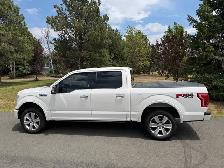 2016 Ford F150 Platinum 4x4 Eco-Boost - Photo 6