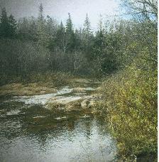 GREAT DEAL! Investment Opportunity - Photo 7