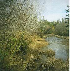 GREAT DEAL! Investment Opportunity - Photo 8