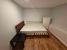 1 Bed 1 Bath basement apartment - Photo 4