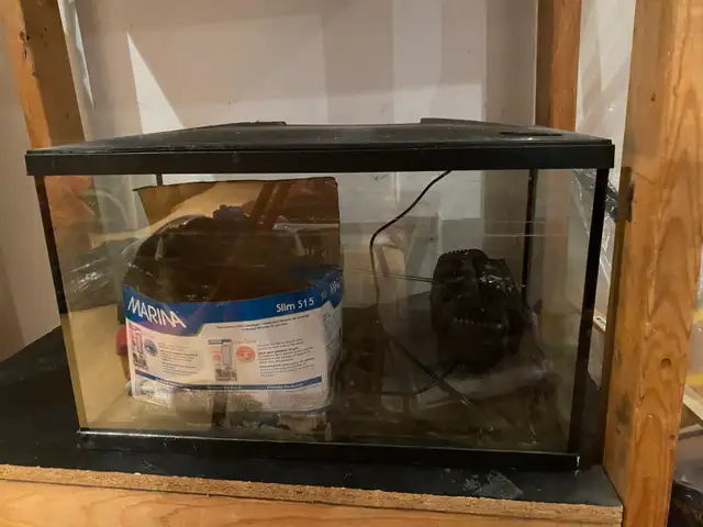 fish tank