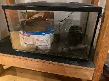 fish tank - Photo 2