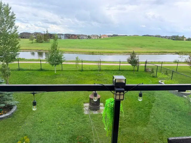 Walkout basement available for rent in Calgary N.E