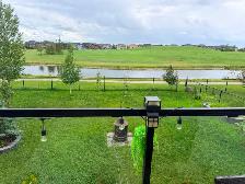 Walkout basement available for rent in Calgary N.E