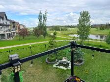 Walkout basement available for rent in Calgary N.E - Photo 2
