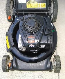REMINGTON REAR BAG GAS LAWNMOWER - Photo 4
