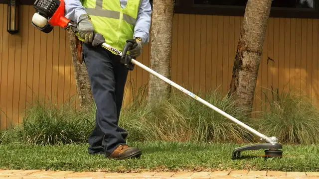 Grass Cutting services