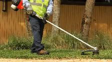 Grass Cutting services