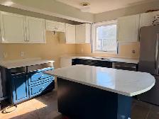 Quartz Countertops Calgary - Factory Direct   Free Quote
