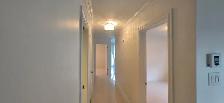 LUXURIOUS TWO BEDROOM RENOVATED APARTMENT AUG 1ST - Photo 4