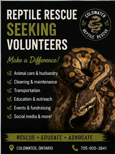 Reptile Rescue Seeking Volunteers