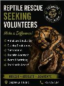 Reptile Rescue Seeking Volunteers