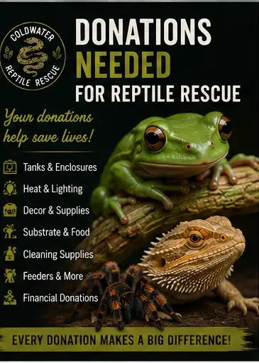 Donations Needed for Reptile Rescue