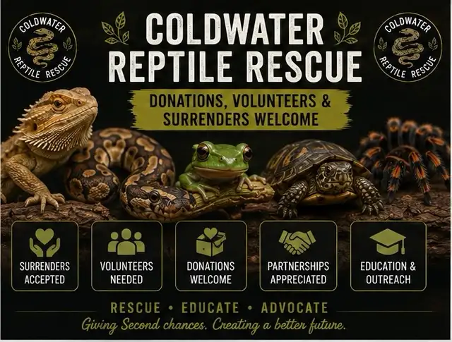 CRR — DONATIONS, VOLUNTEERS & SURRENDERS