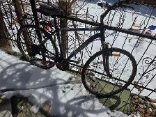 hybride a vendre - Photo 7