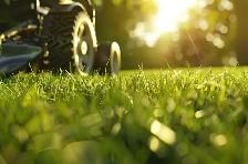 lawn mowing