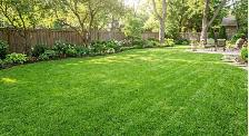 lawn mowing - Photo 2