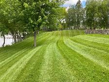 lawn mowing - Photo 3