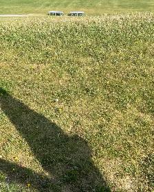 lawn mowing - Photo 4