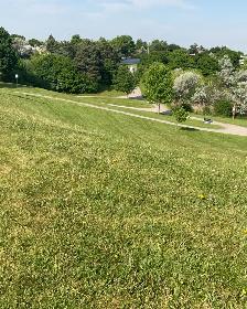 lawn mowing - Photo 5