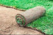 lawn mowing - Photo 7