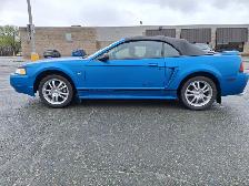 Mustang 2000 bleu, en super etat.