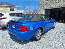 Mustang 2000 bleu, en super etat. - Photo 4