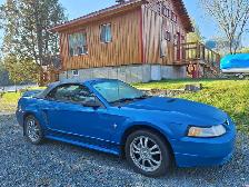 Mustang 2000 bleu, en super etat. - Photo 6