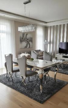 Amazing sale on stylish dinning set