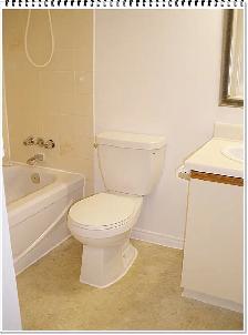 Pristinely Clean 1 Bedroom Apartment at 1600 Adelaide Street - Photo 5