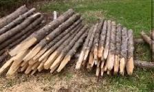 Spruce/Fir Fence Posts (Taking Orders Now)