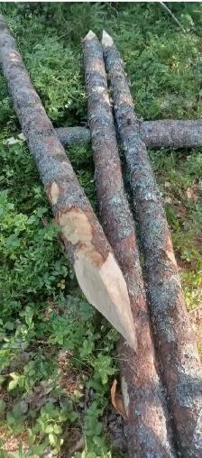 Spruce/Fir Fence Posts (Taking Orders Now) - Photo 2