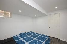 Basement 2 BR & 1 Washroom - Photo 8