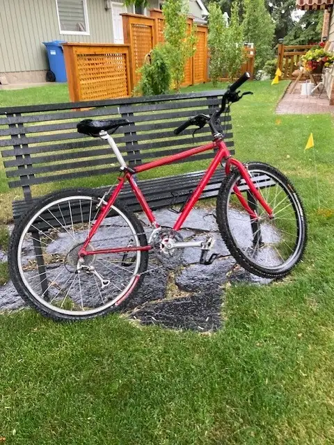 Free Mountain Bike