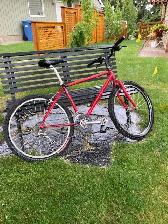 Free Mountain Bike