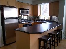 Bright and spacious 1 bdrm condo in Liberty Village/King West - Photo 4