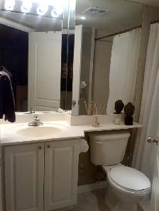 Bright and spacious 1 bdrm condo in Liberty Village/King West - Photo 6