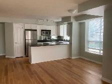 Bright and spacious 1 bdrm condo in Liberty Village/King West - Photo 9