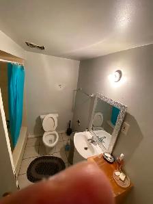 AVAILABLE ROOM FOR RENT MACLAUGHLIN AND STEELS BARAMPTON - Photo 4