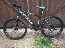 ROVER BICYCLE - Photo 2