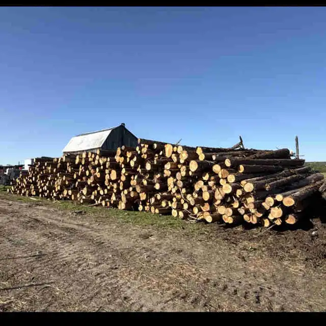 Cedar Logs / Posts